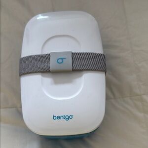 White and Gray Wearable Device